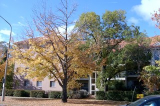 Street View 2 (2007-04-27)