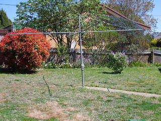 Backyard (2006-10-03)