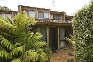 Frontyard (2008-01-23)