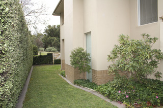 Backyard (2012-06-13)
