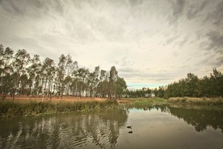 (2013-06-04)