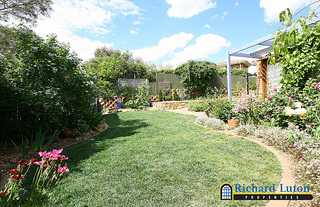 Backyard (2006-10-19)
