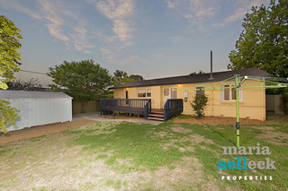 Back Yard (2015-10-26)