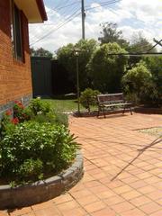 Rear yard (2008-11-06)