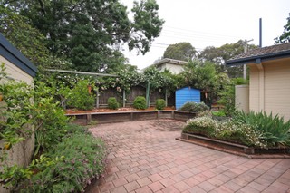 Patio (2010-11-17)