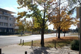 View (2007-04-30)