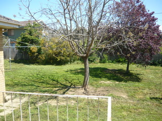 Backyard (2012-10-16)
