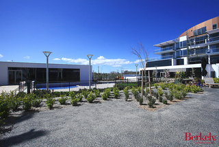 Garden (2010-11-23)