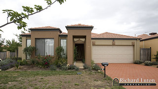 Main (2007-11-29)