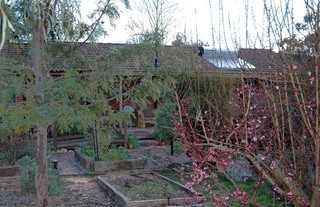 Rear of Residence (2005-07-24)