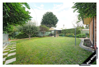 Rear Yard (2012-03-08)