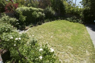 Garden (2004-11-05)