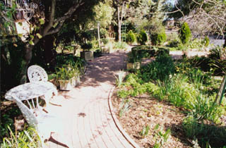 Front yard (2002-01-09)