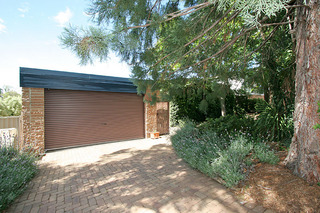 Front View (2009-01-08)