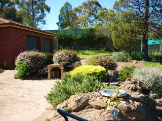 Backyard (2010-03-22)