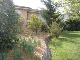 Front Garden (2013-09-20)