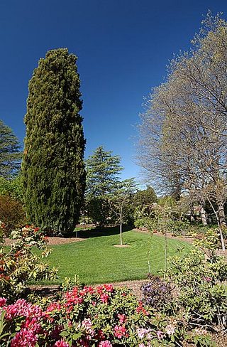 Front garden (2004-10-15)