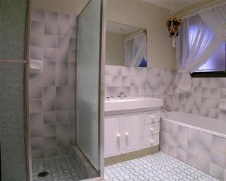 Bathroom (2008-08-05)