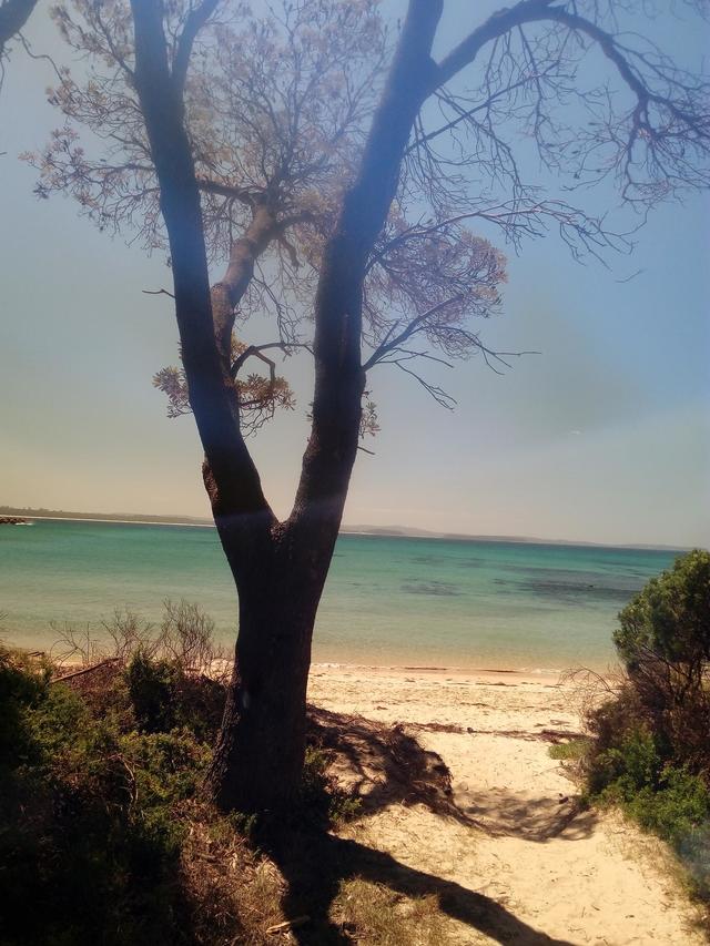 Real Estate for Sale in Moruya Heads, NSW 2537 Allhomes