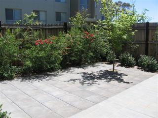 Rear yard (2006-10-23)