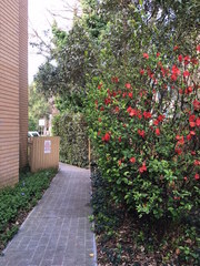 Standard Photo (2016-09-14)