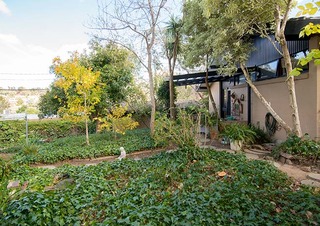 Corner of rear garden (2013-05-09)