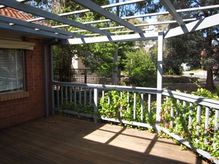 Standard Photo (2011-12-09)