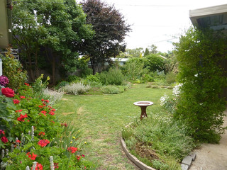 Backyard (2016-08-09)