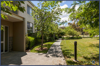 Garden Surrounds (2012-11-09)