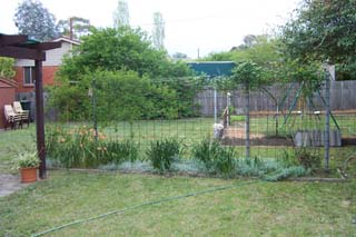 Rear yard (2002-10-17)