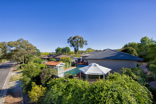 Left side yard (2013-11-14)