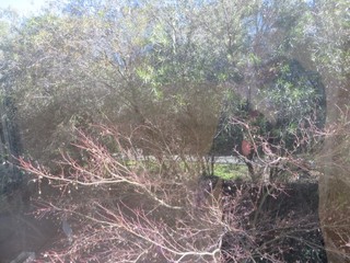 View from balcony (2017-06-30)