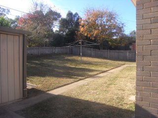 Backyard (2011-05-09)