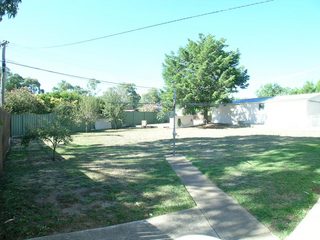Backyard (2004-03-05)