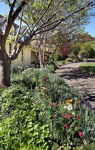 Front garden (2004-10-14)
