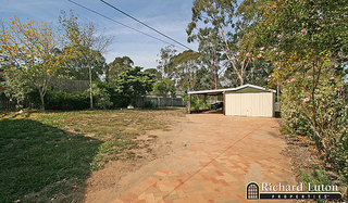 Backyard (2007-04-11)