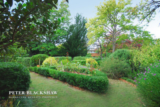 Front Garden (2015-03-30)