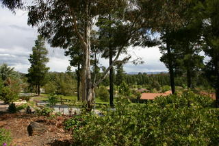 View (2005-10-12)
