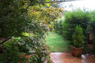 Rear garden (2006-01-16)