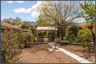 More rear yard (2013-10-16)