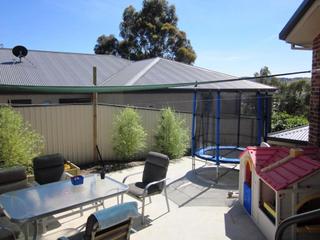 Backyard (2010-11-25)