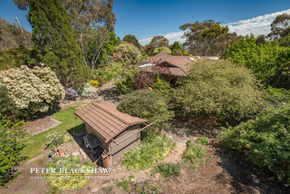Backyard (2016-11-03)