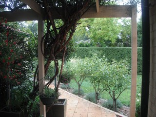 Main Photo (2012-03-02)