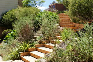 Stairs leading to front (2011-12-06)