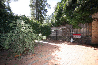 Backyard (2010-05-06)