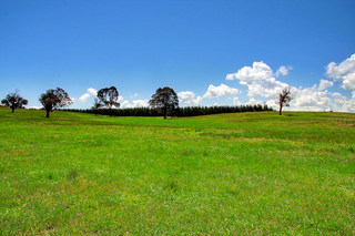 Paddock 2 to 1 (2010-10-27)