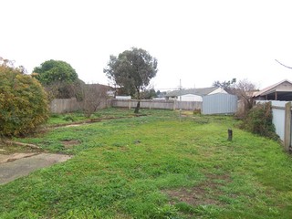 Backyard (2007-06-20)