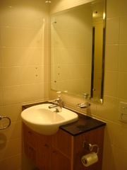 Bathroom (2009-09-03)