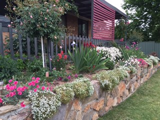 Backyard (2016-04-06)