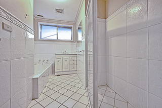 Bathroom (2012-04-12)